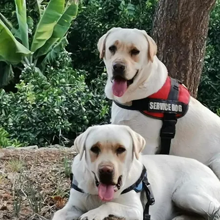 別荘 Angels Fátaga